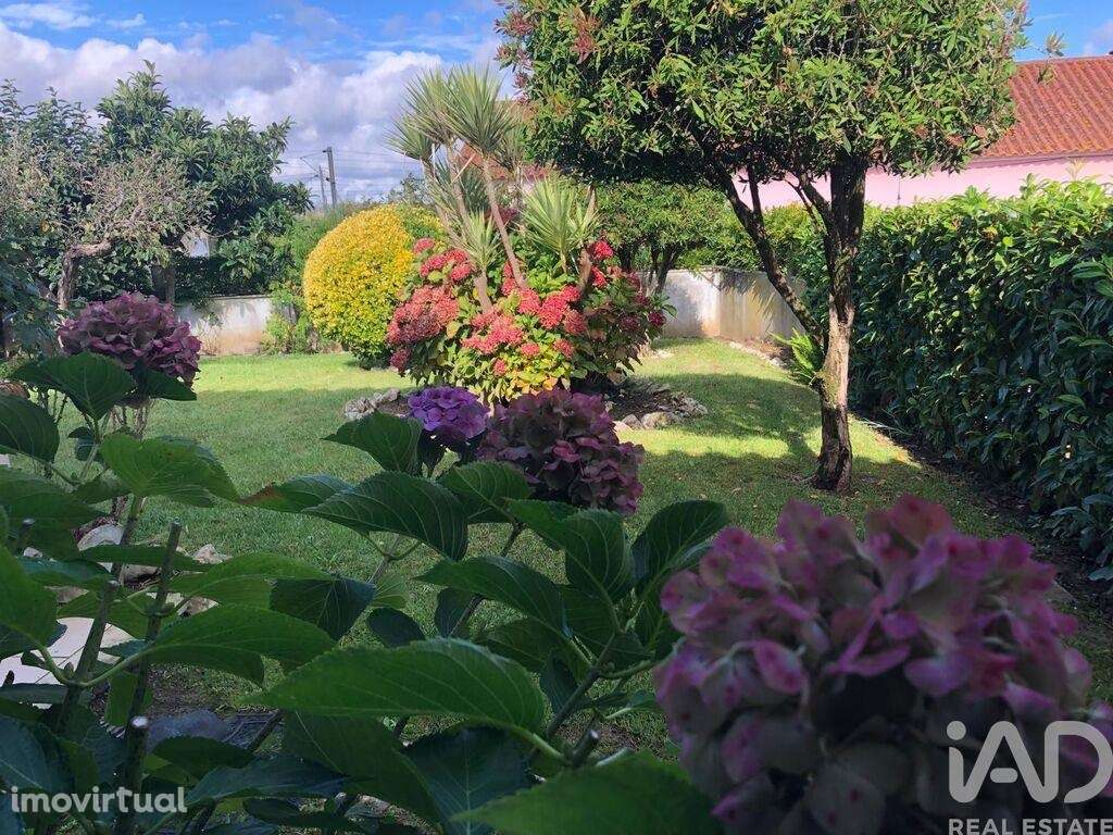 Moradia térrea T4 em Pelariga de 386 m2 - Grande imagem: 5/29