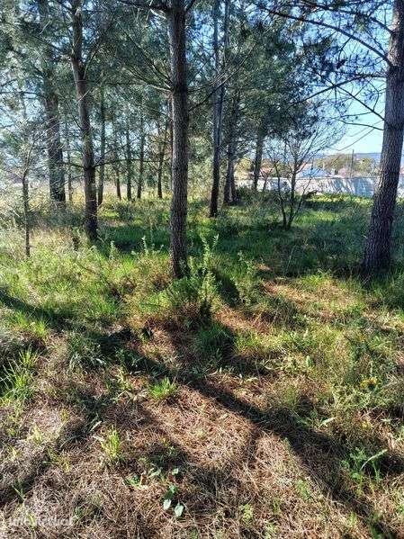 Terreno para construção - Grande imagem: 3/9