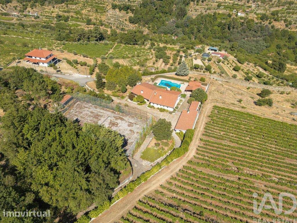 Casa / Villa em Lamego - Grande imagem: 4/40