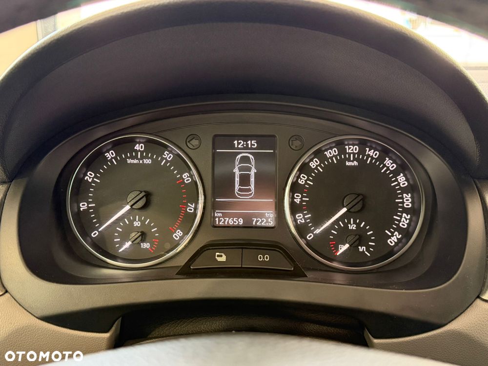 Skoda RAPID - 16