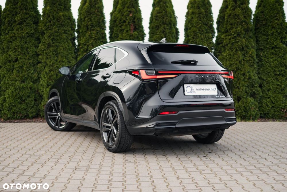 Lexus NX - 6