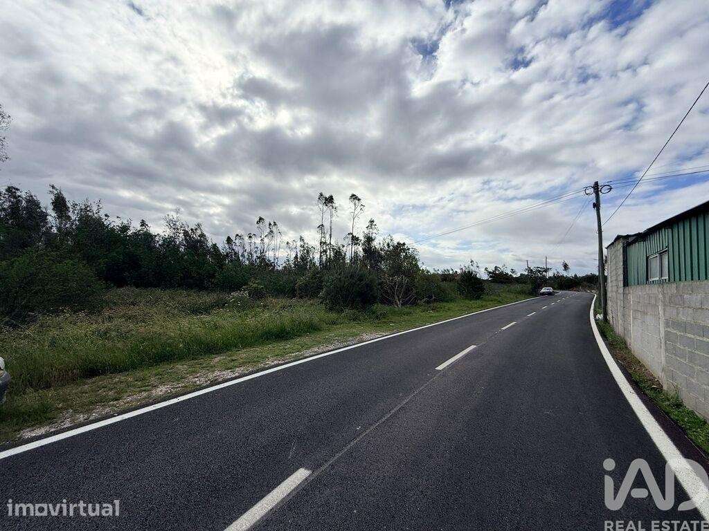 Terreno Agrícola em Marinha Grande - Grande imagem: 4/5