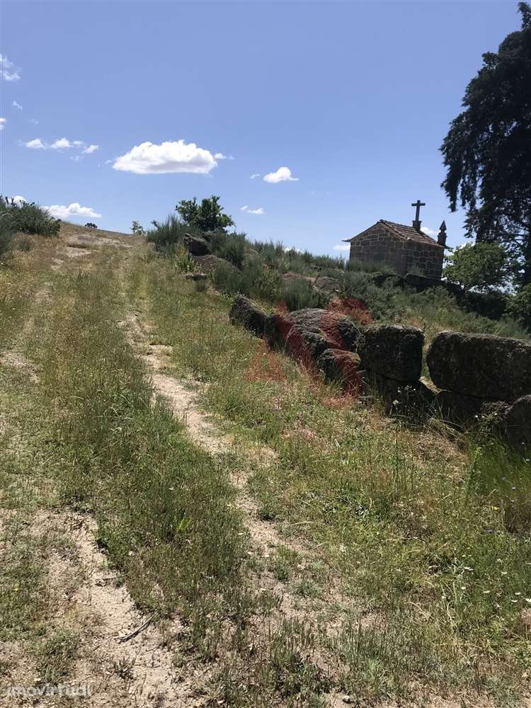 Quinta com Capela com 39.018,00m2​​​​​&# - Grande imagem: 4/8