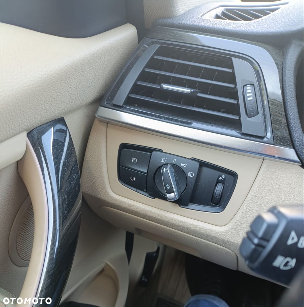 BMW Seria 3 318d Blue Performance Luxury Line - 18