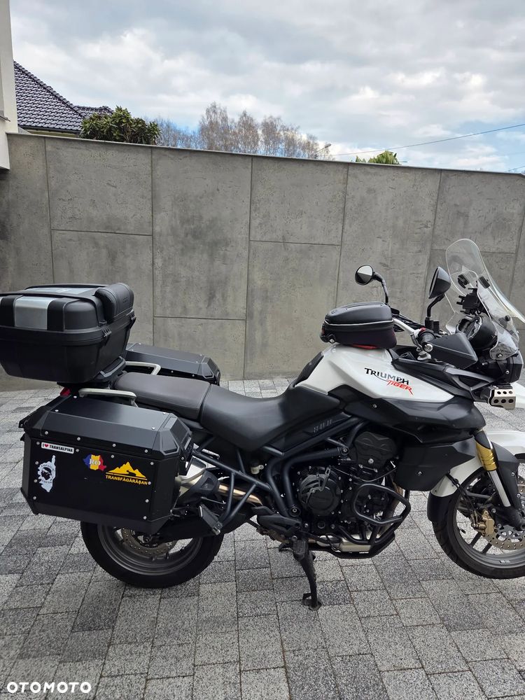 Triumph Tiger - 17