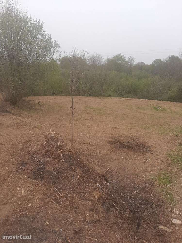 Terreno com 1.800m2 para construção de uma moradia. - Grande imagem: 4/5