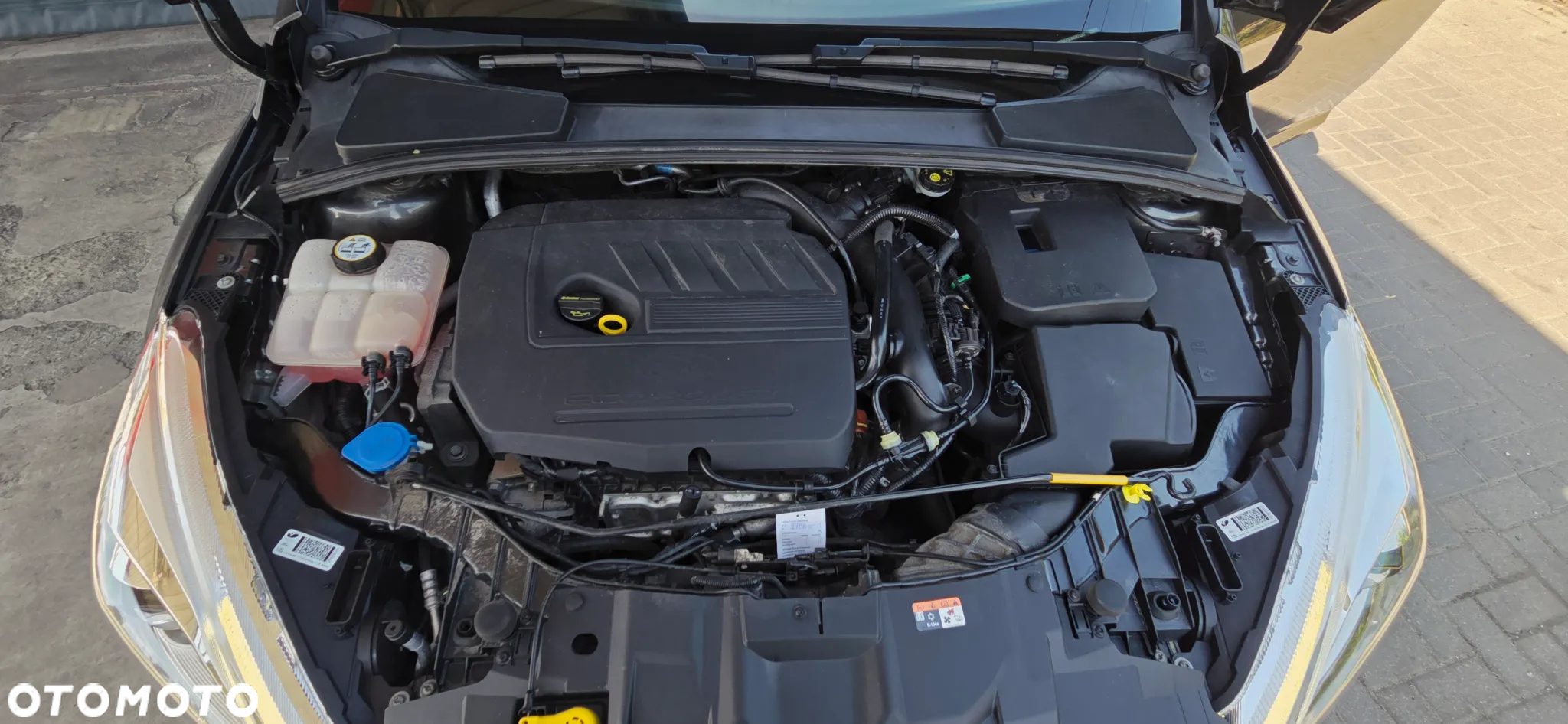 Ford Focus Turnier 1.6 EcoBoost Start-Stopp-System Titanium - 35
