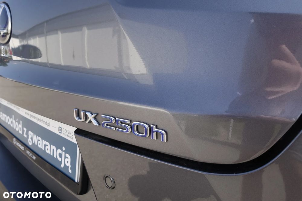 Lexus UX 250h GPF F Impression 2WD - 9