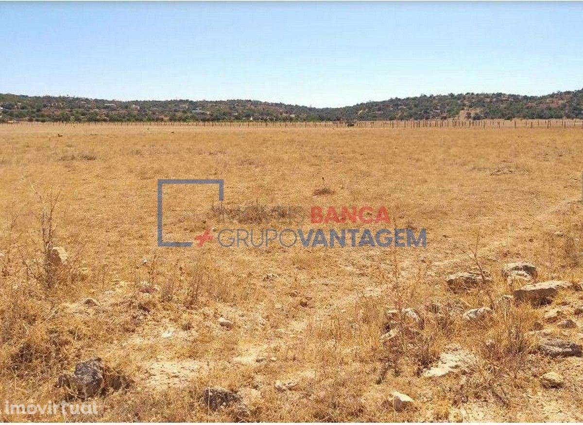 Terreno rústico com 8.980m² destinado a cultura arvense, situado em... - Grande imagem: 5/6