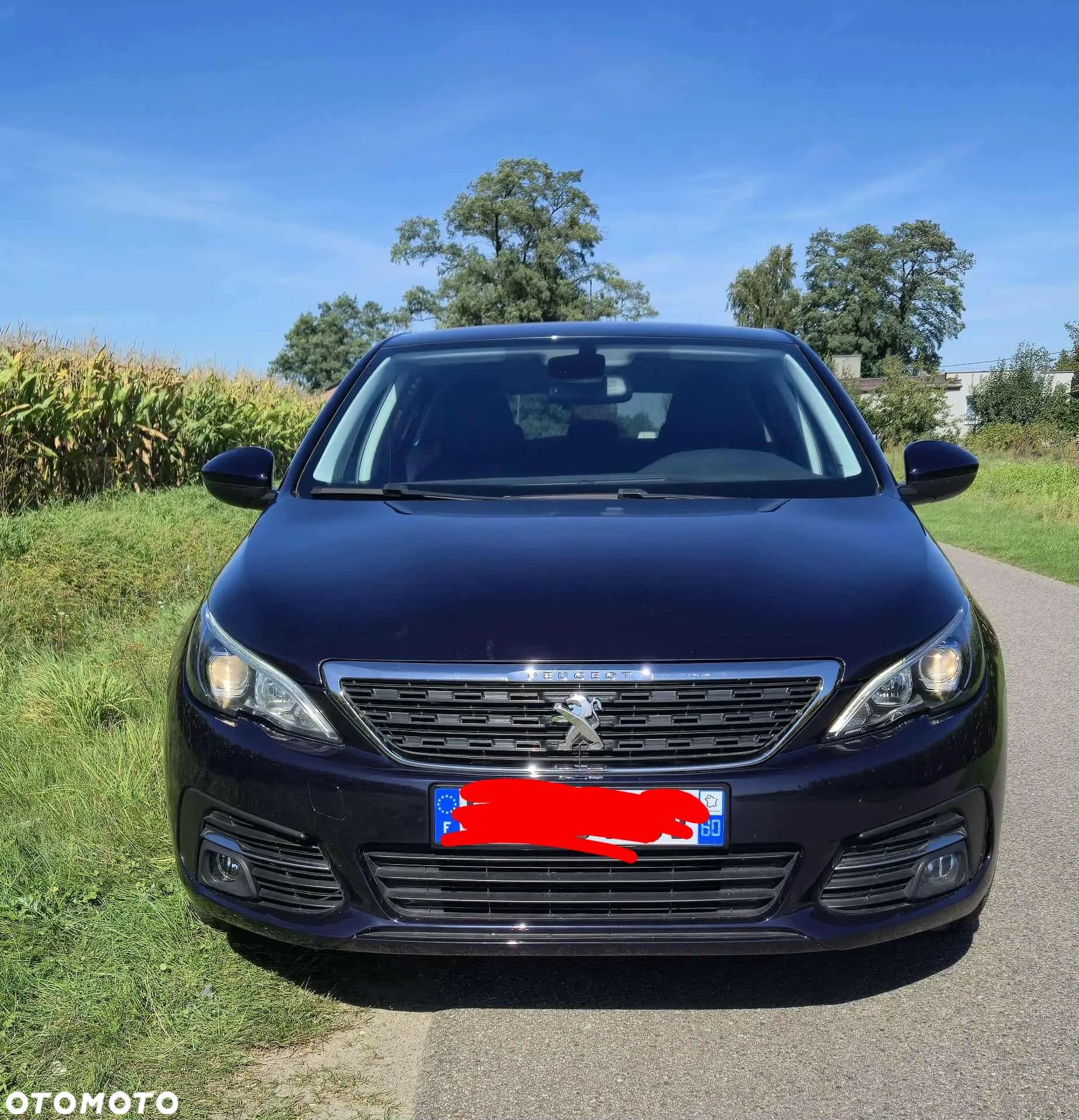 Peugeot 308 1.5 BlueHDi Access S&S - 1