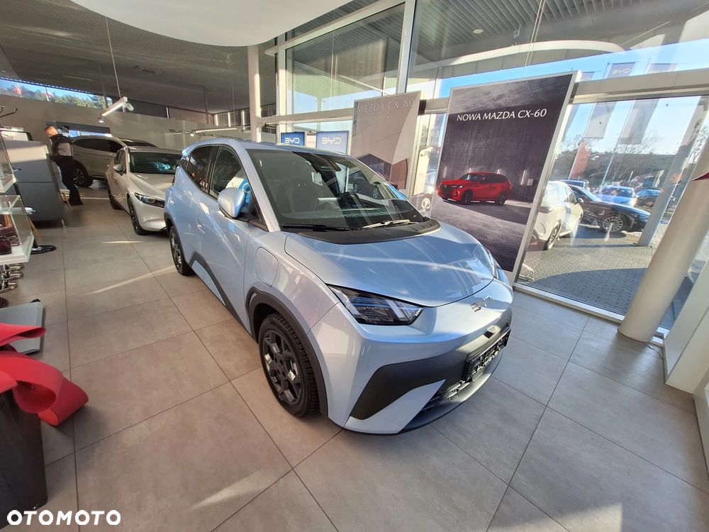 BYD Dolphin Surf 43.2kWh Boost - 1