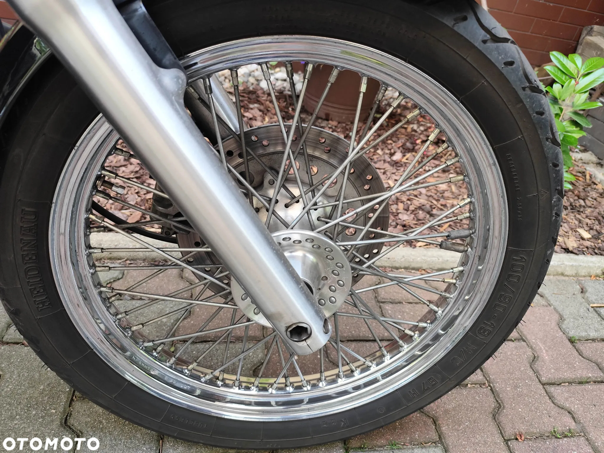 Honda Shadow - 4