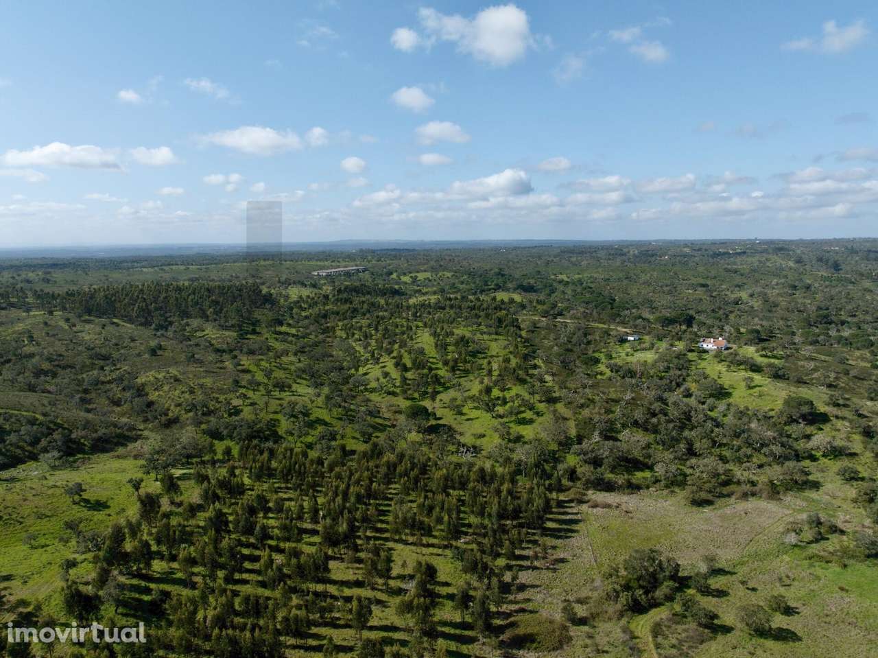 Terreno Rústico com 9,3 Hectares na Serra de Grândola – Mosqueirões - Grande imagem: 2/25