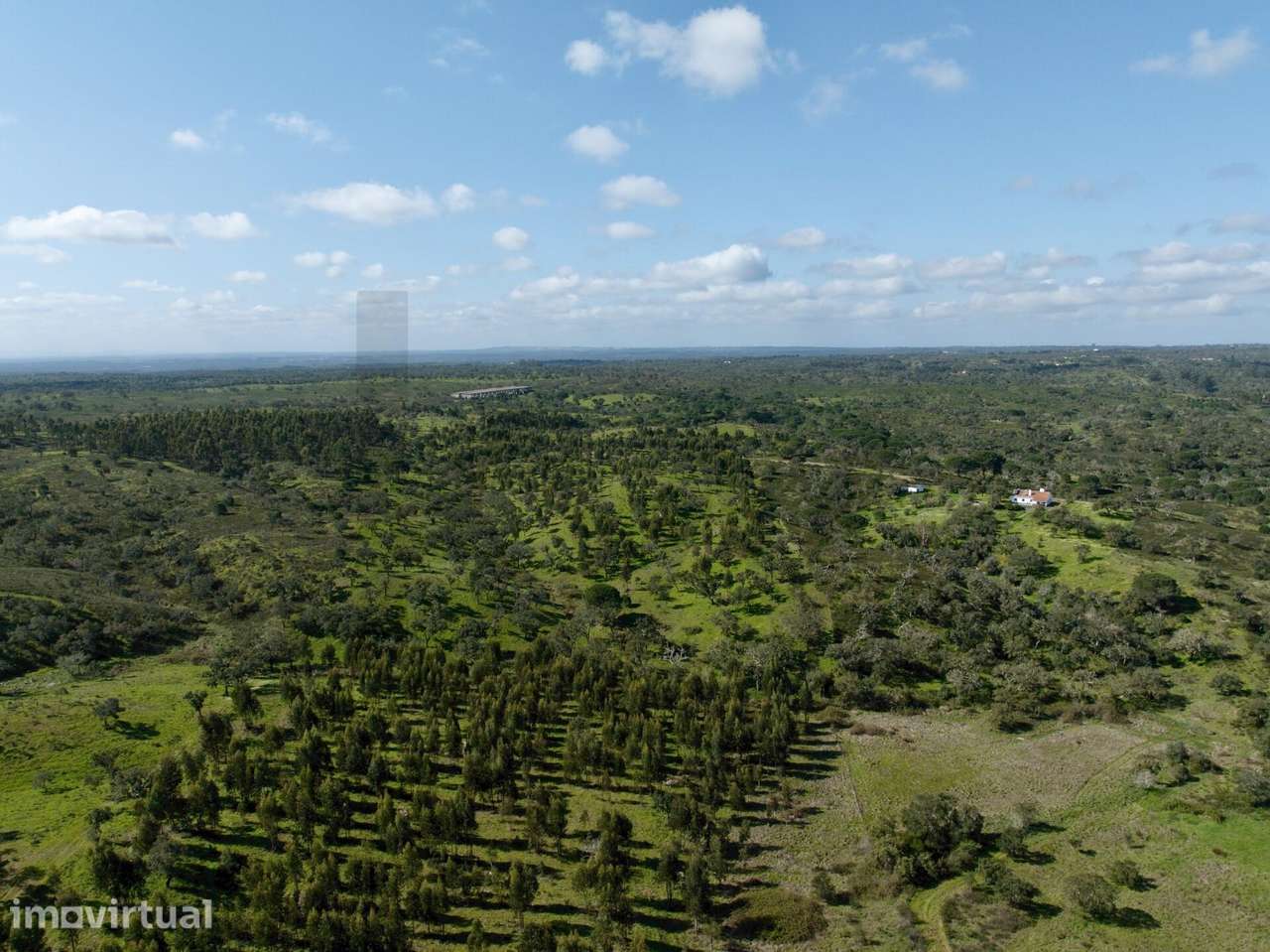 Terreno Rústico com 9,3 Hectares na Serra de Grândola – Mosqueirões - Grande imagem: 3/25