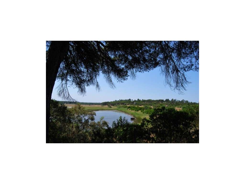 INVESTIMENTO: Terreno de 25ha para Hotel Rural no Carvalhal - Grande imagem: 3/8