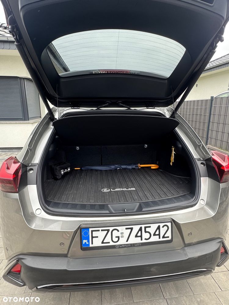 Lexus UX 250h F Sport 2WD - 11