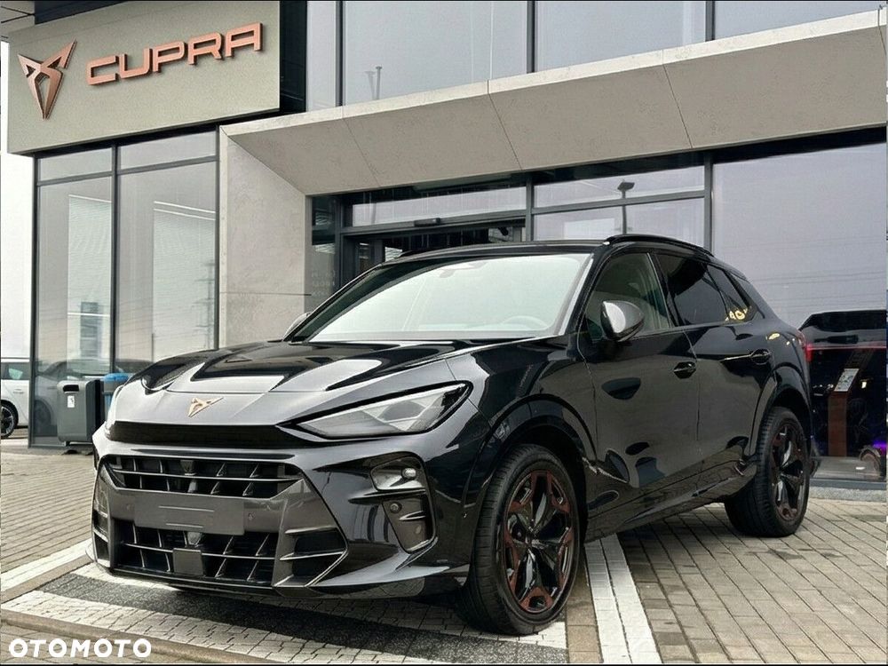 Cupra Terramar 2.0 TSI 4Drive DSG - 6