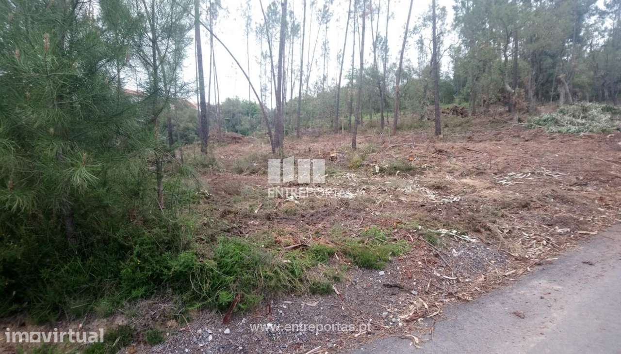 Venda Terreno, vista rio, Rio Mau, Penafiel - Grande imagem: 3/15