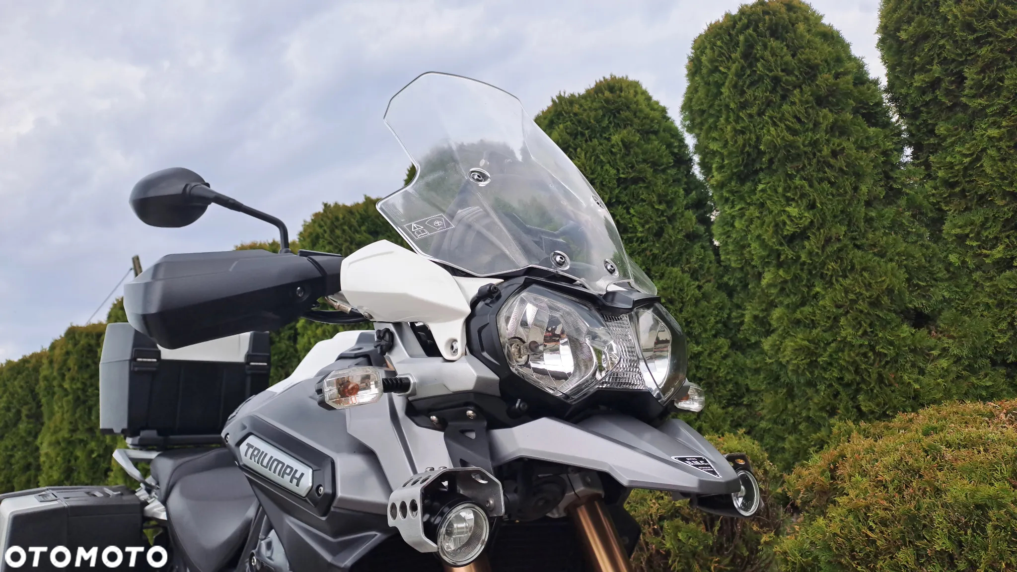 Triumph Tiger - 11