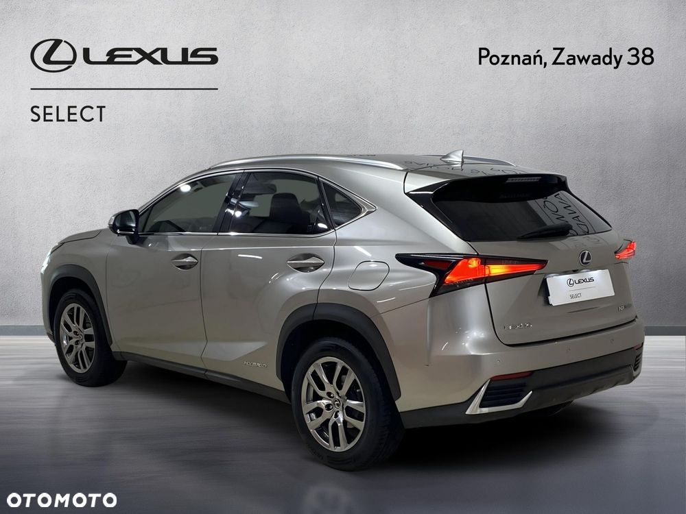 Lexus NX 300h Business Edition AWD - 5