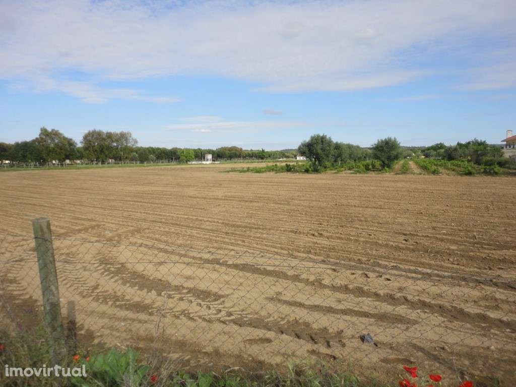 Terreno Urbano Venda Abrantes - Grande imagem: 3/4