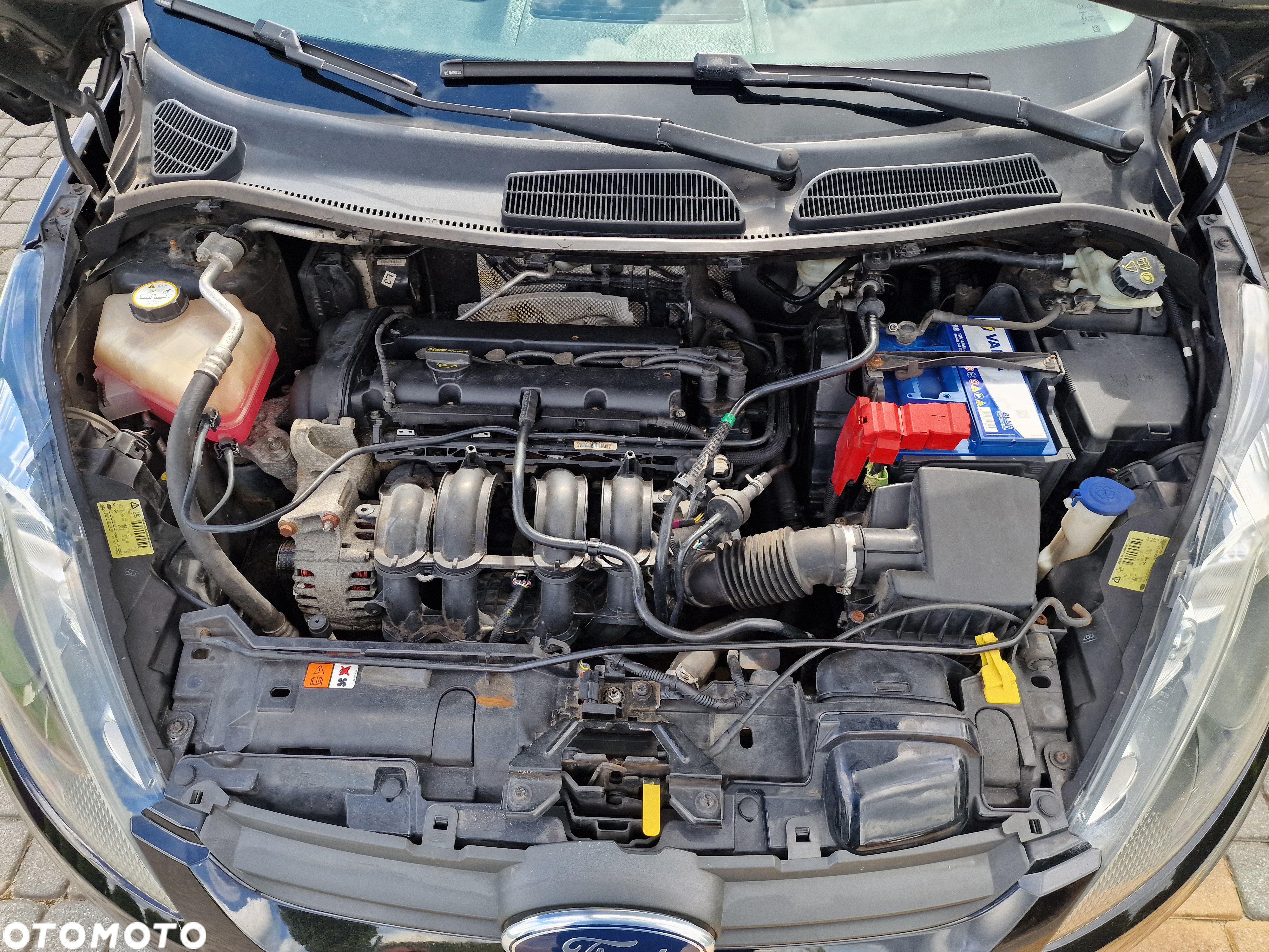 Ford Fiesta 1.25 Trend - 21