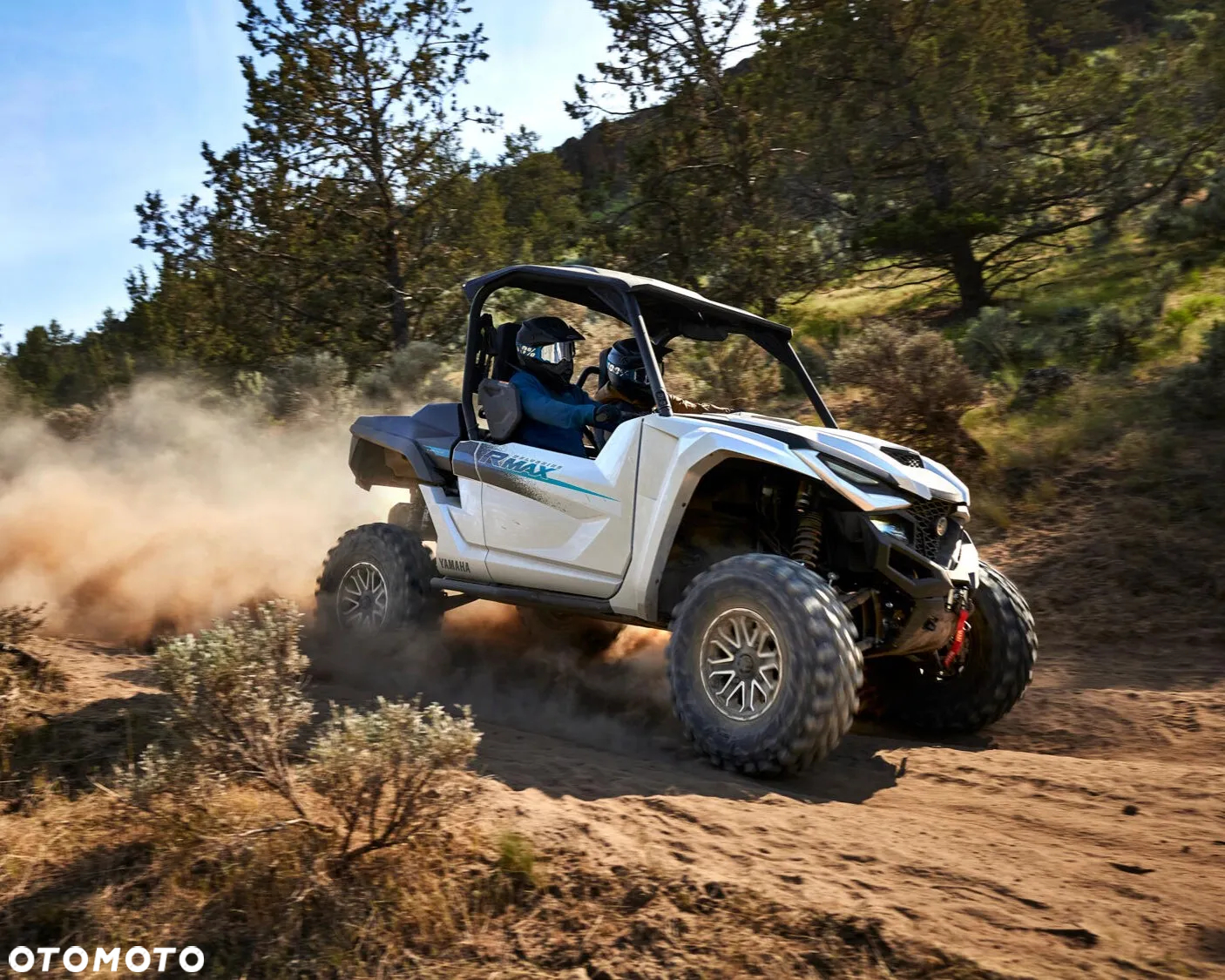 Yamaha Wolverine - 4