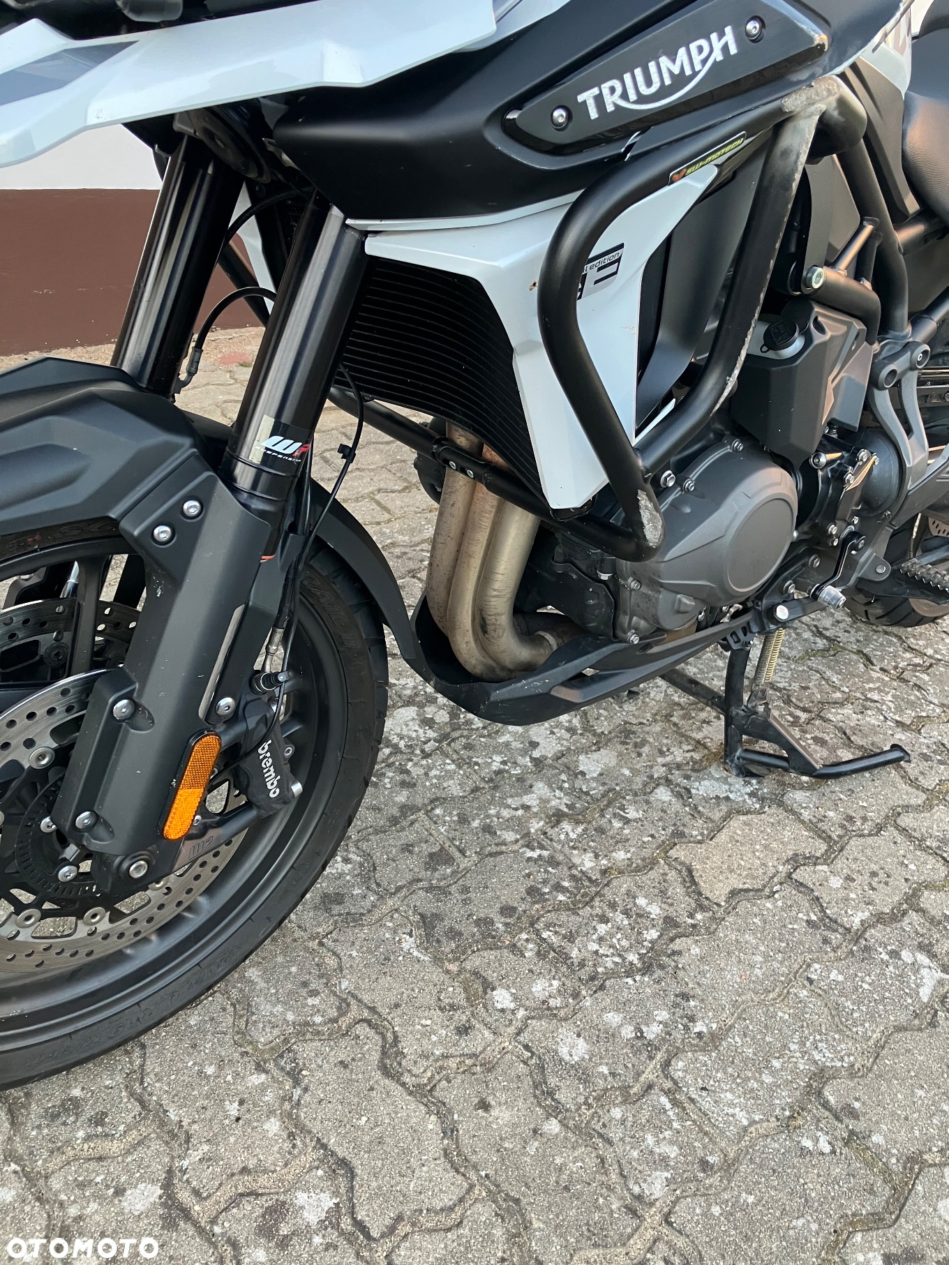 Triumph Tiger - 14