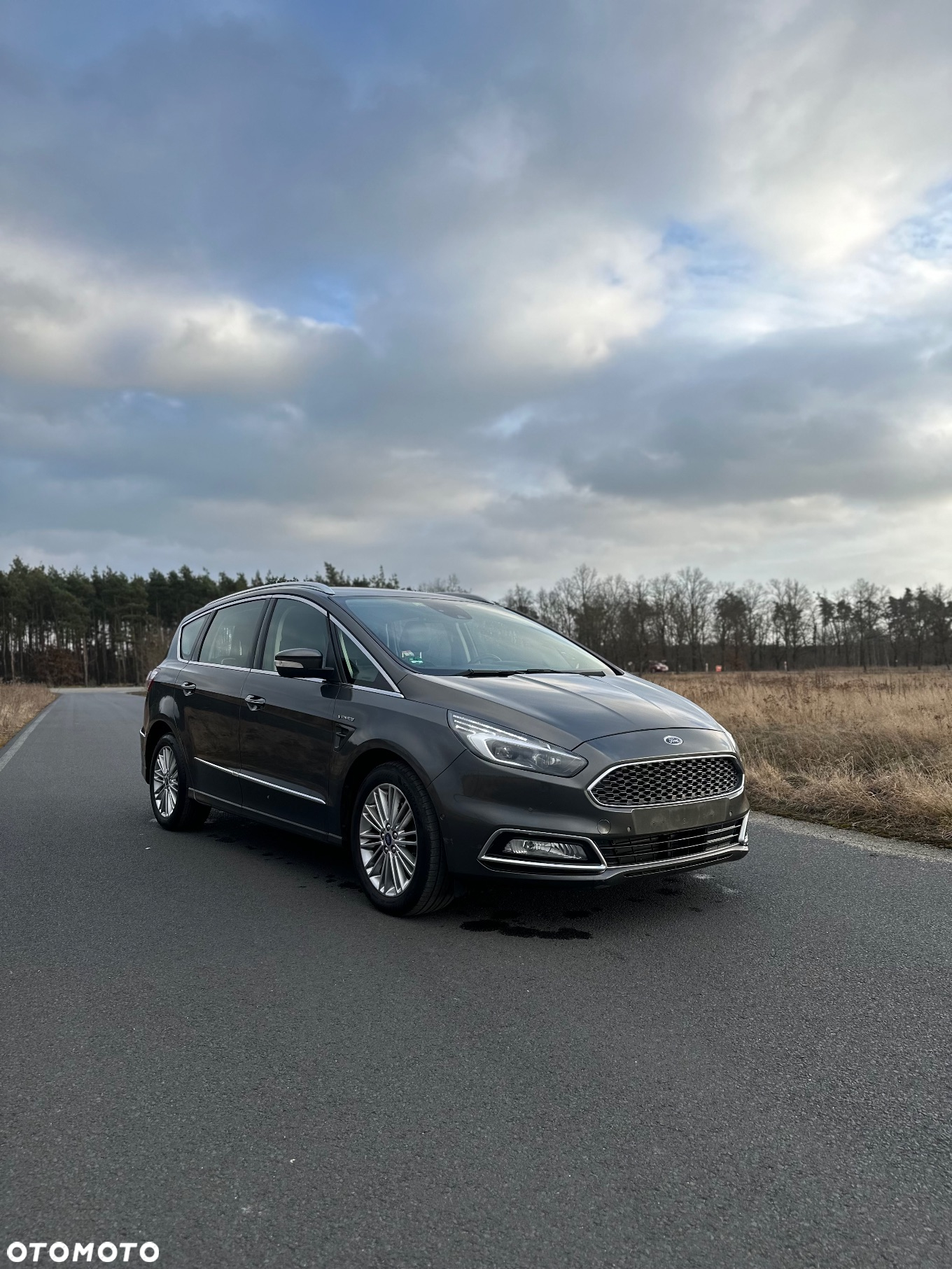 Ford S-Max 2.0 EcoBlue Vignale - 2
