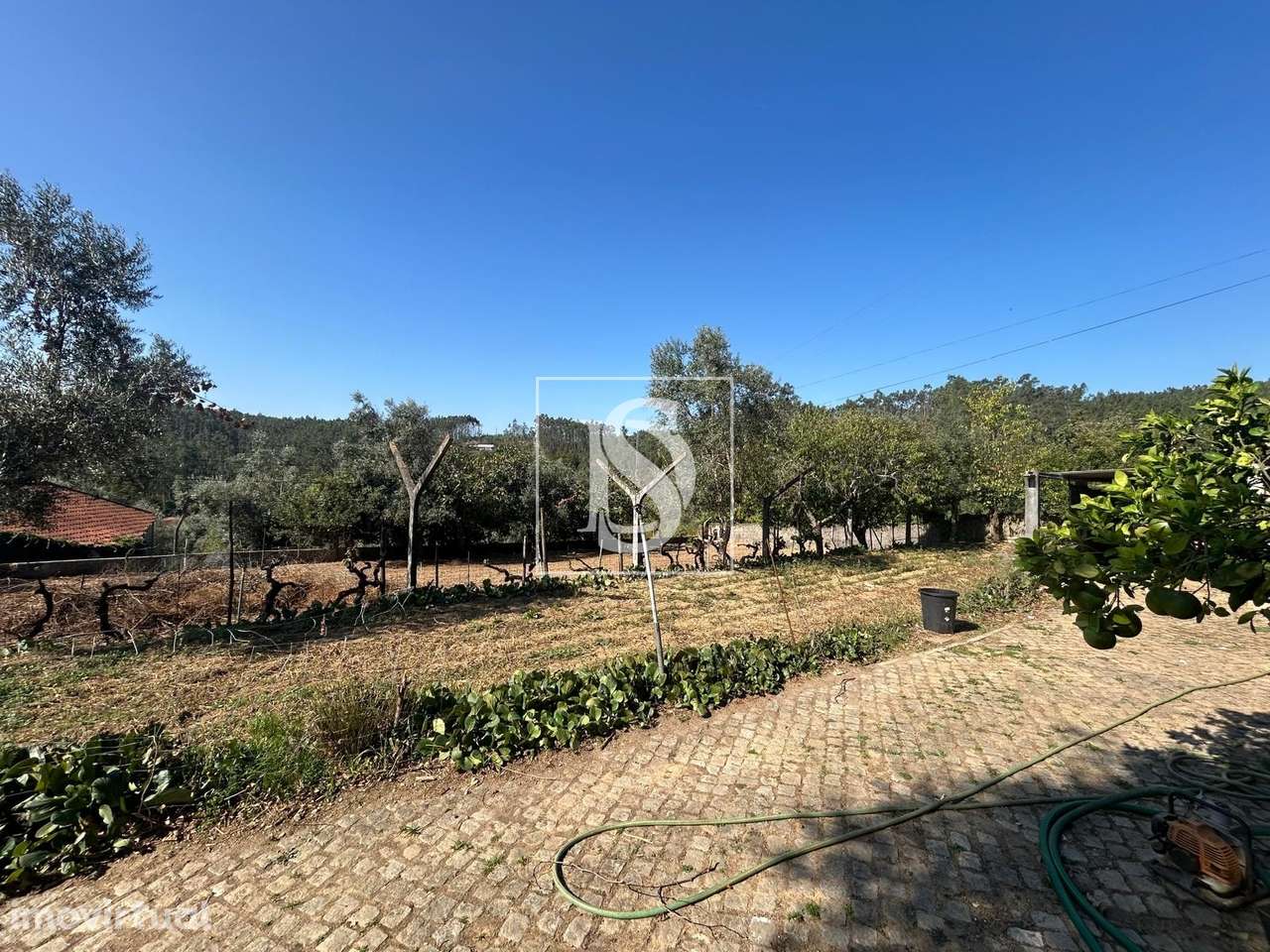 Terreno  Venda em Pala,Mortágua - Grande imagem: 3/20