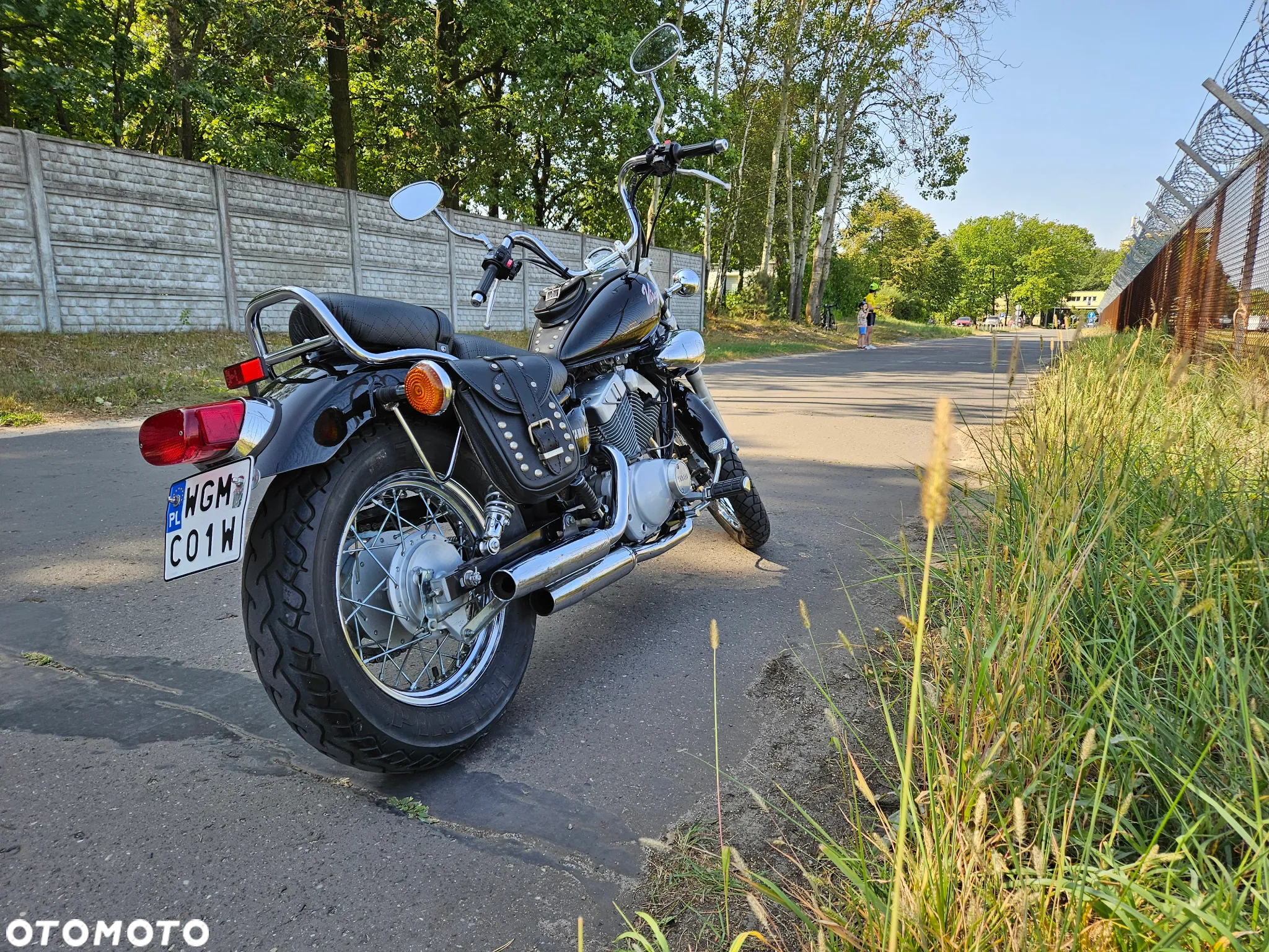 Yamaha Virago - 5