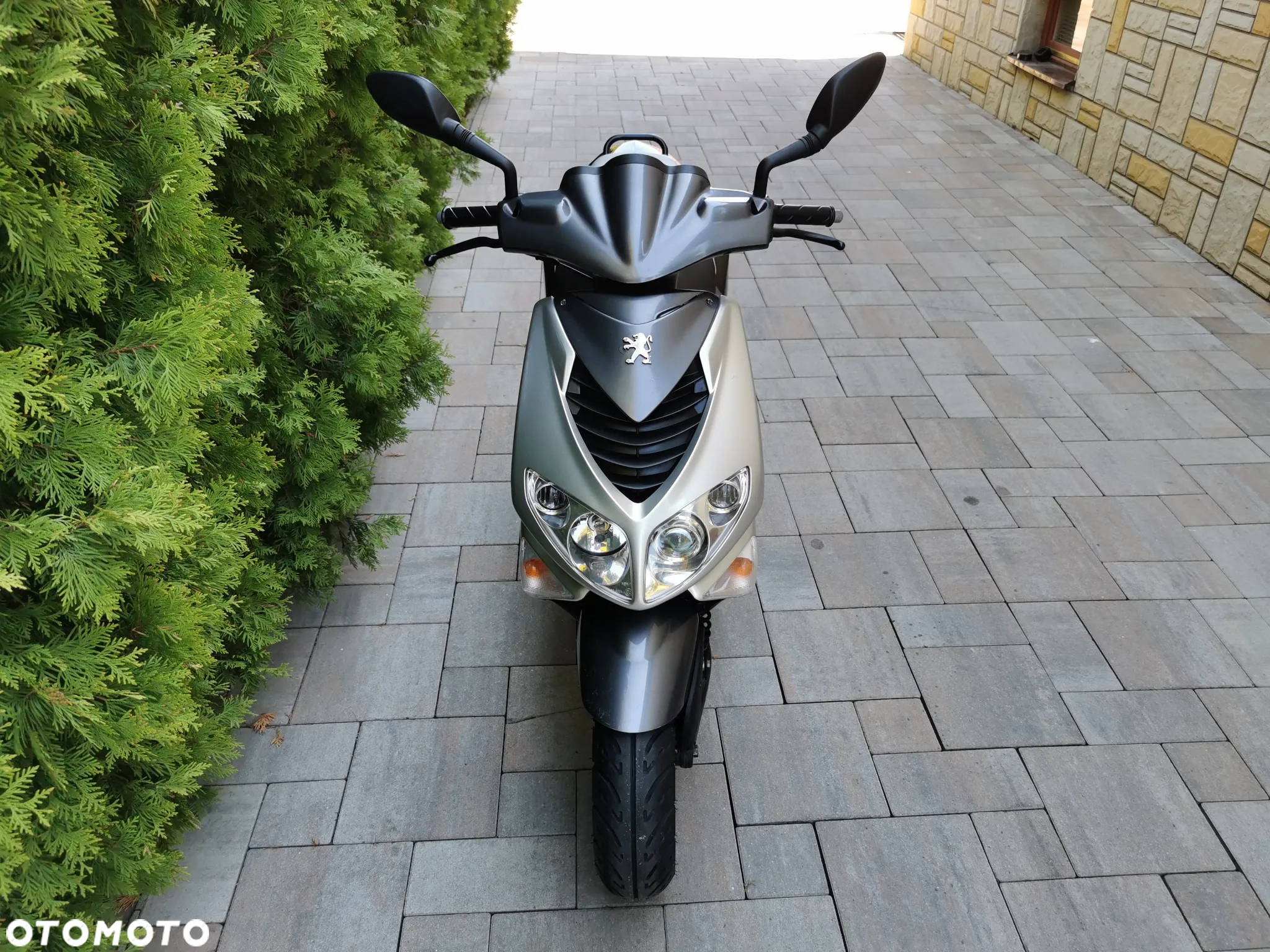 Peugeot Speedfight - 7