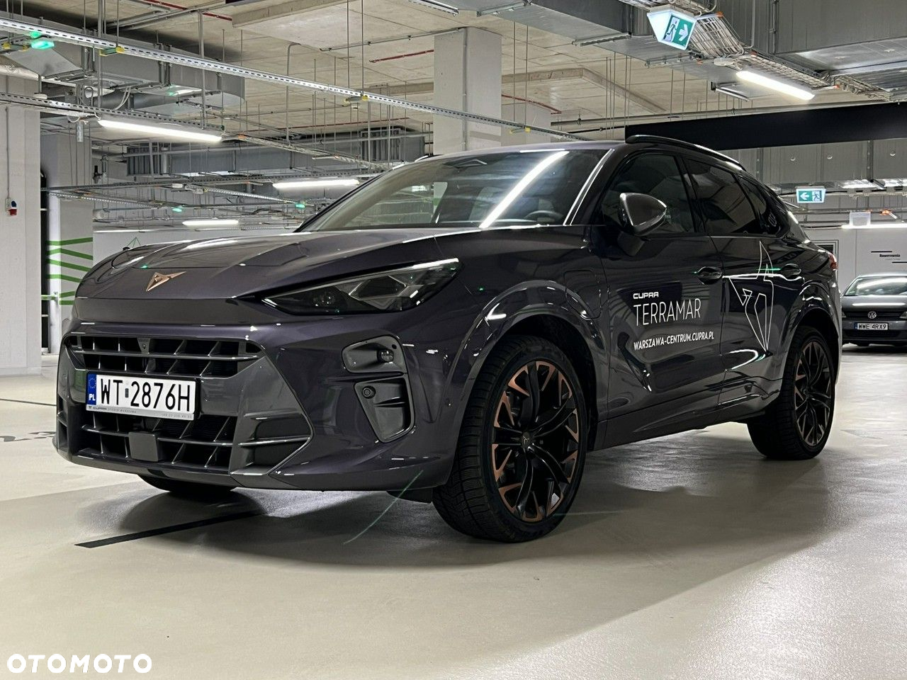 Cupra Terramar - 10