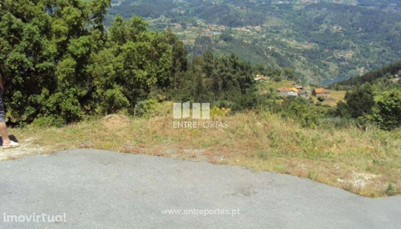 Venda Terreno, Tarouquela, Cinfães - Grande imagem: 2/18