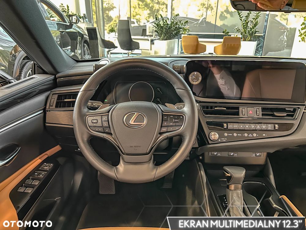 Lexus ES ver-300h-business-edition - 19