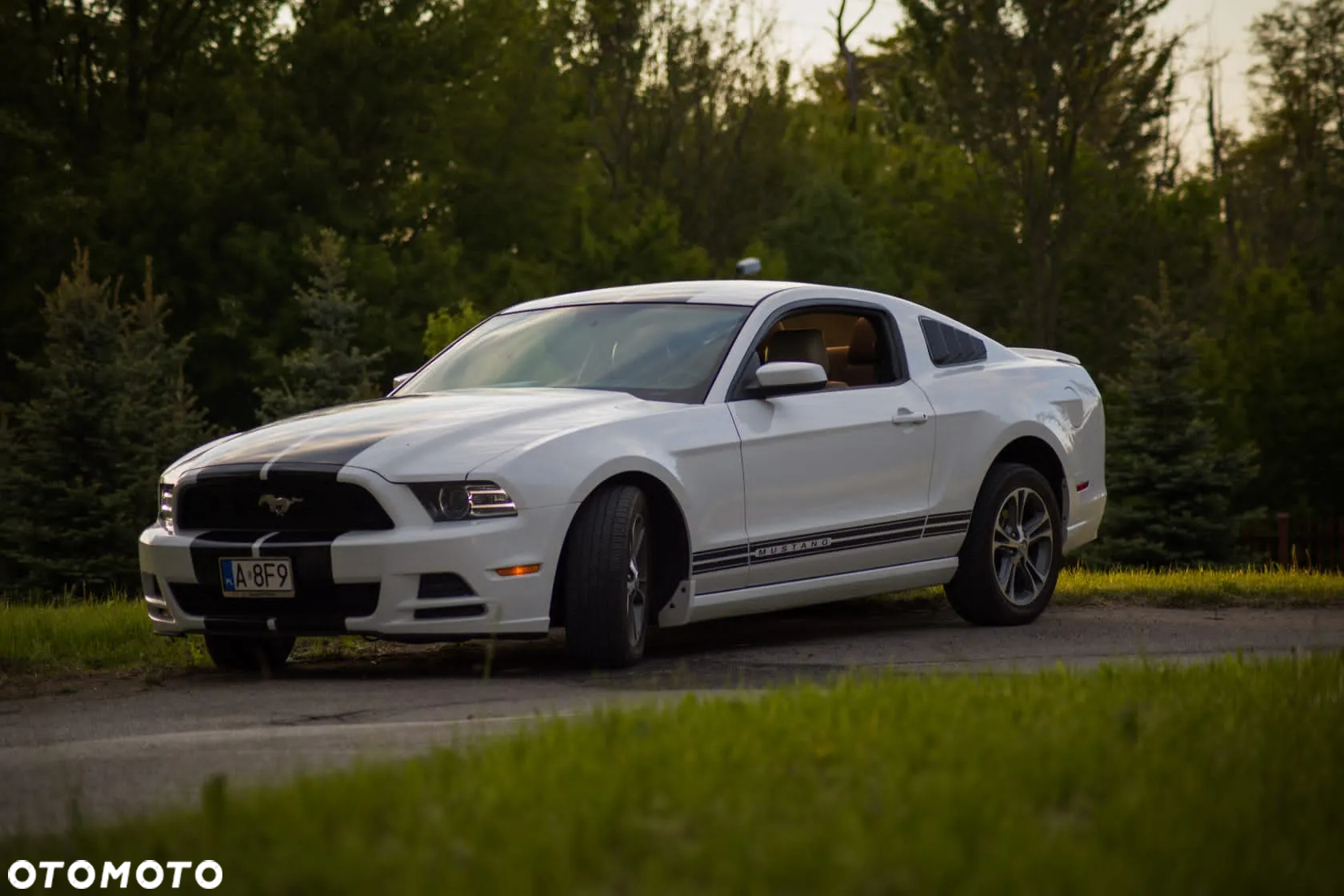 Ford Mustang 3.7 V6 Premium - 2