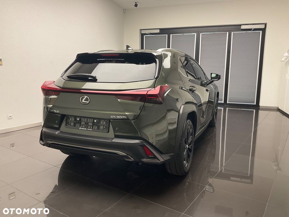 Lexus UX 300h F Sport Design - 13