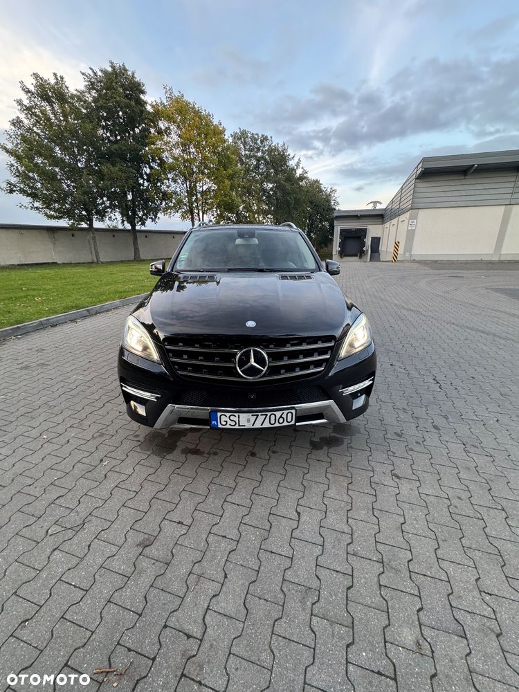 Mercedes-Benz ML 350 BlueTec 4-Matic - 19