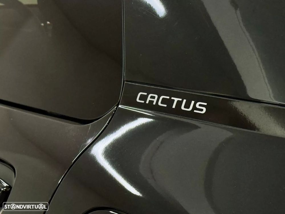 Citroën C4 Cactus 1.6 BlueHDi Shine - 20