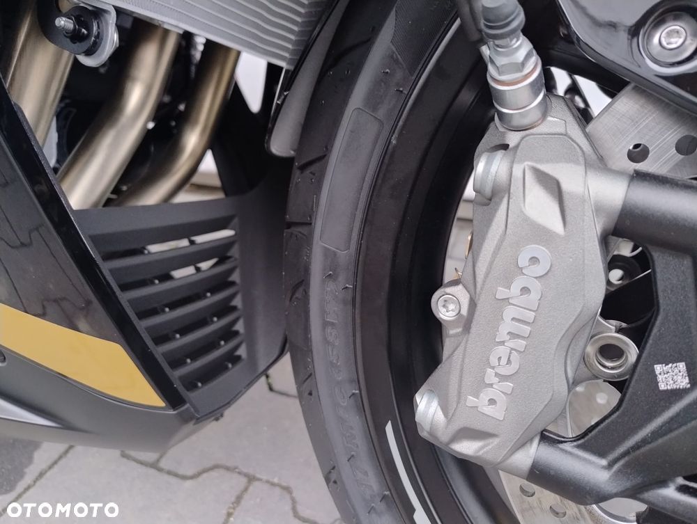 QJMOTOR SRK 800RR - 29