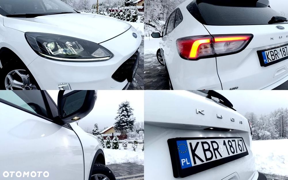 Ford Kuga 2.0 EcoBlue AWD Titanium - 21