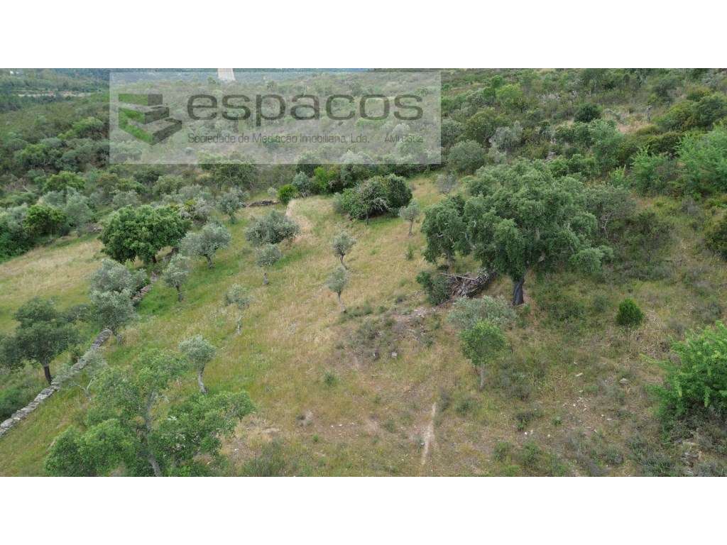 Terreno Monte Fidalgo - Grande imagem: 5/12