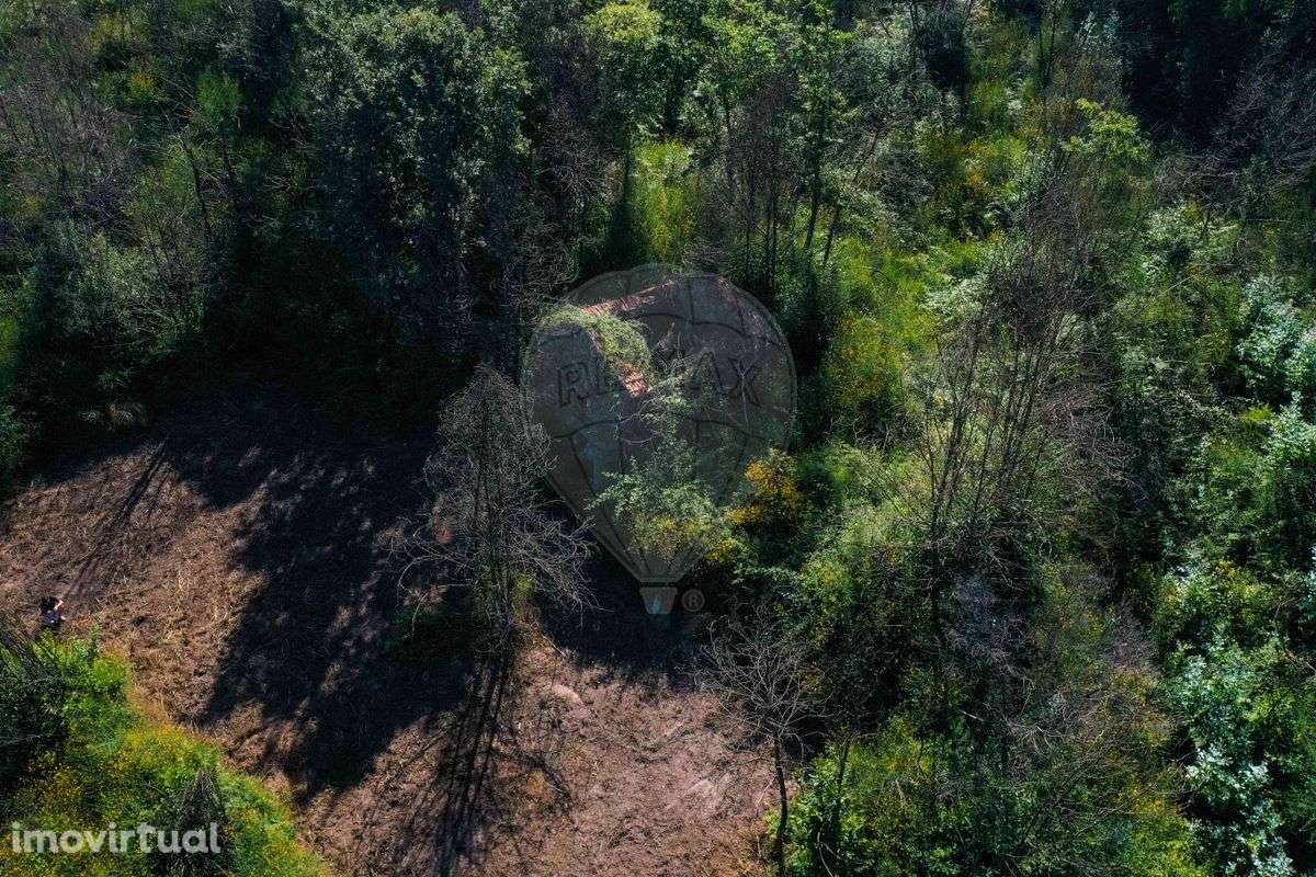 Terreno  para venda - Grande imagem: 3/12