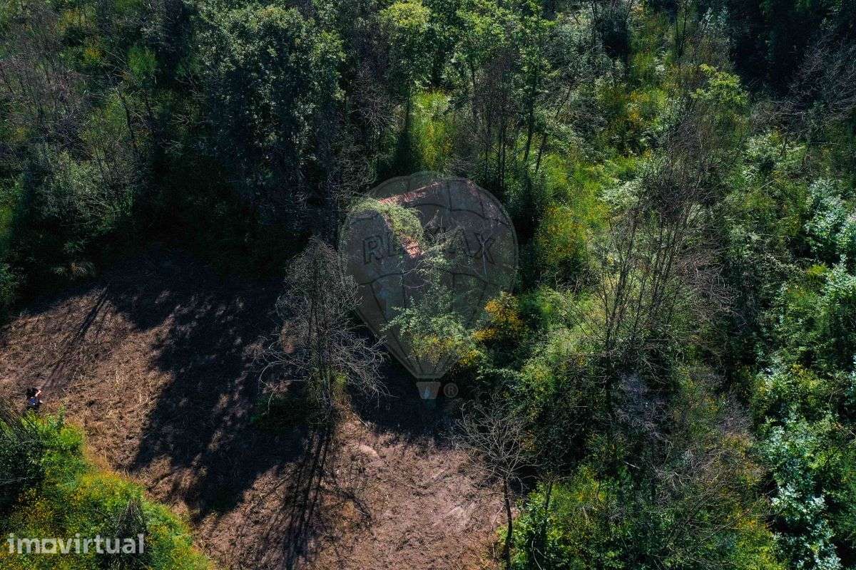 Terreno  para venda - Grande imagem: 3/12