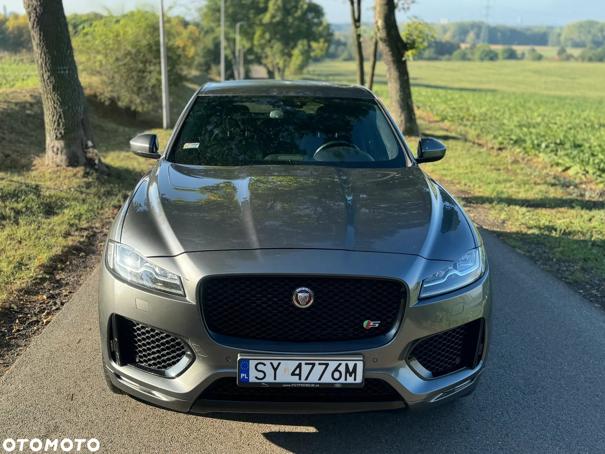 Jaguar F-Pace 3.0 TDV6 AWD Pure - 8