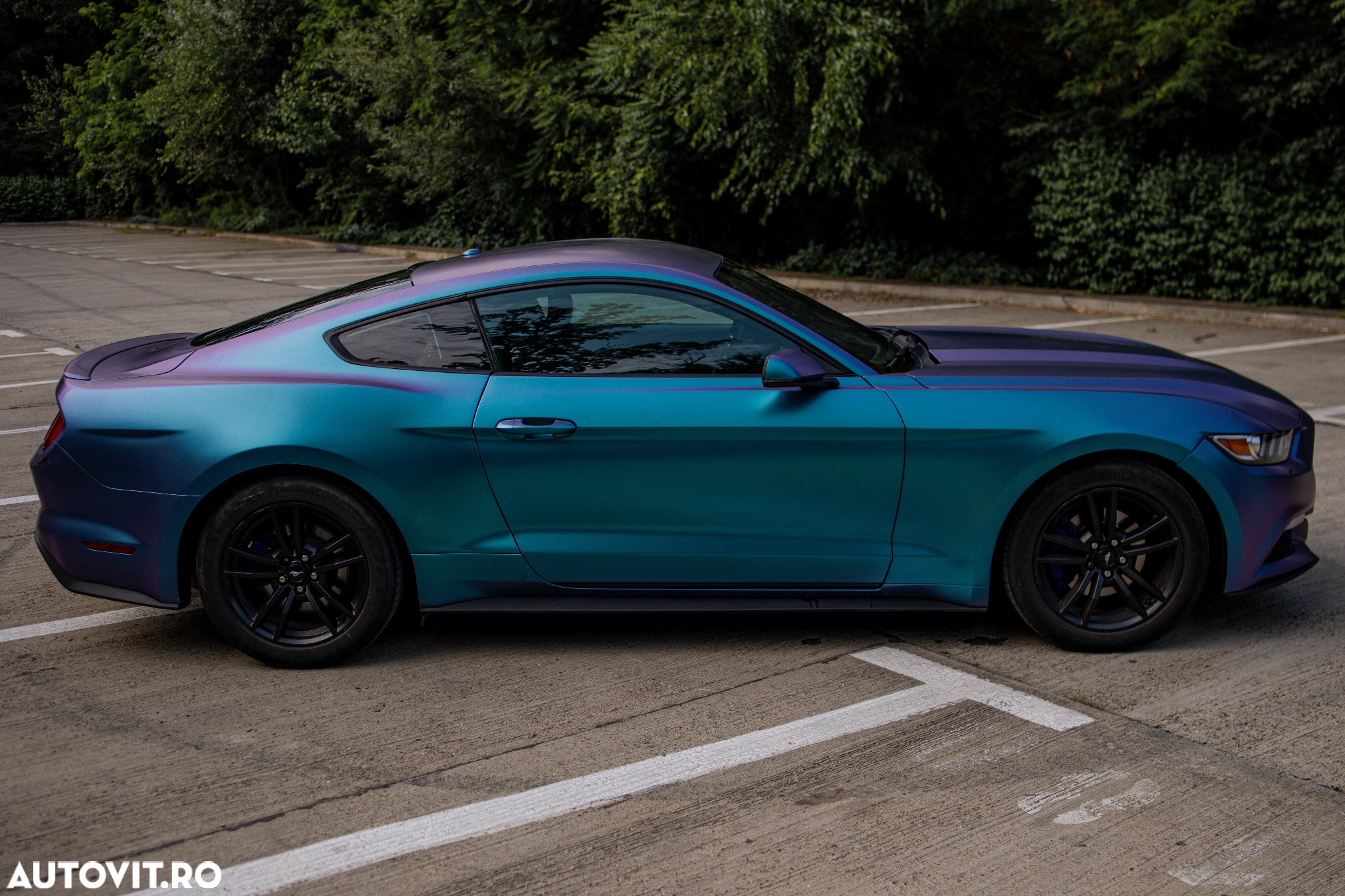 Ford Mustang 2.3 EcoBoost Aut. - 6
