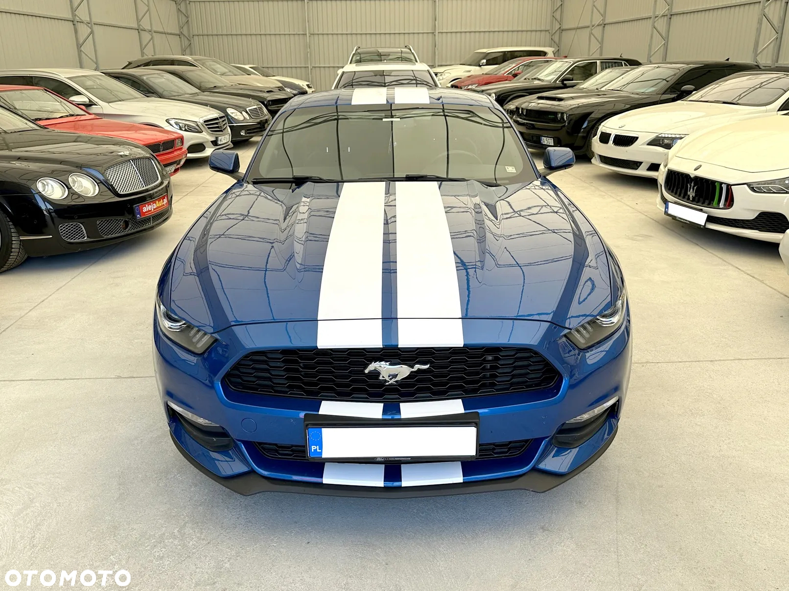 Ford Mustang - 10