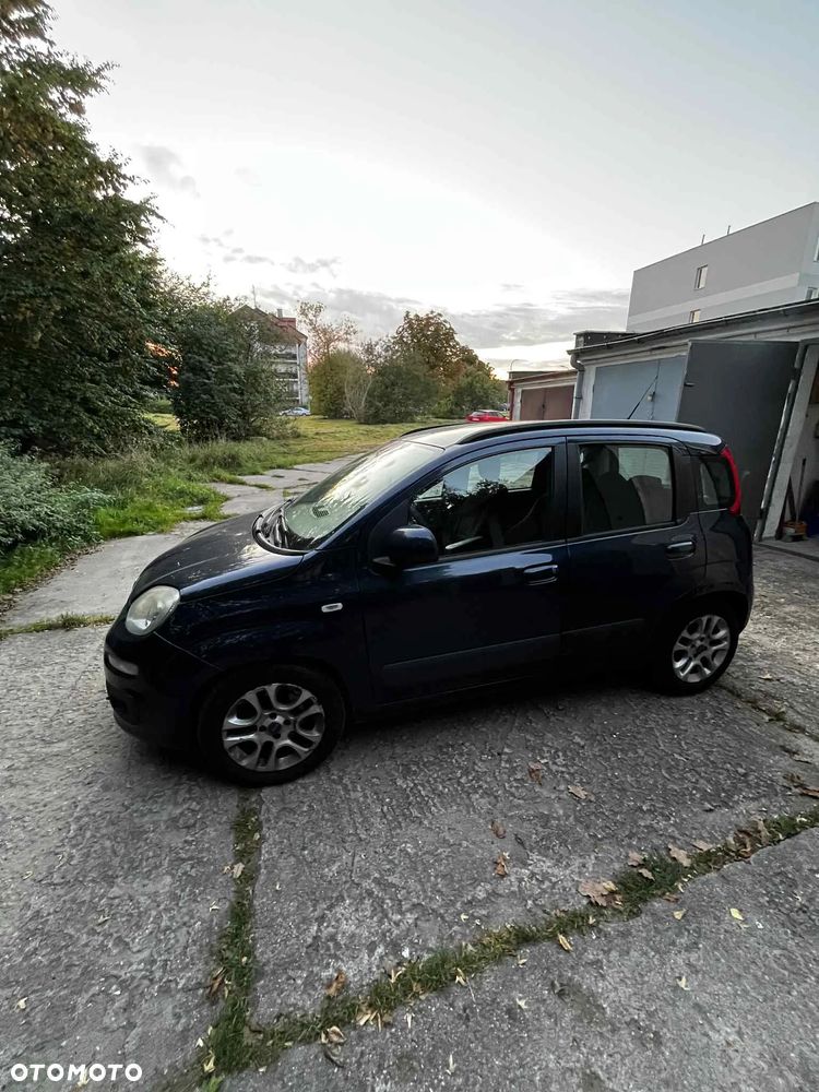 Fiat Panda - 1