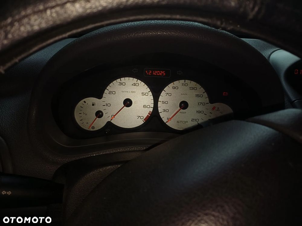 Peugeot 206 75 Grand Filou - 8