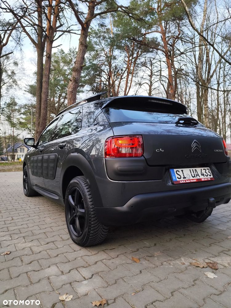Citroën C4 Cactus 1.6 Blue HDi Live - 12